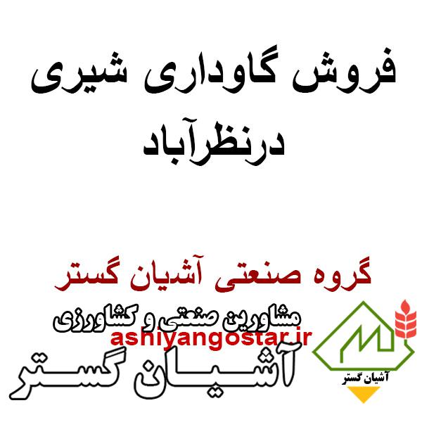 فروش گاوداری شیری در نظرآباد- گاوداری شیری فروشی